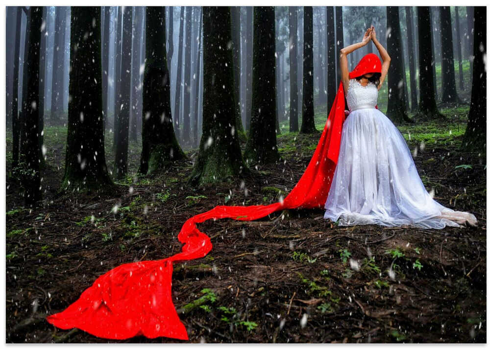 Red Vibes at Pine Forest