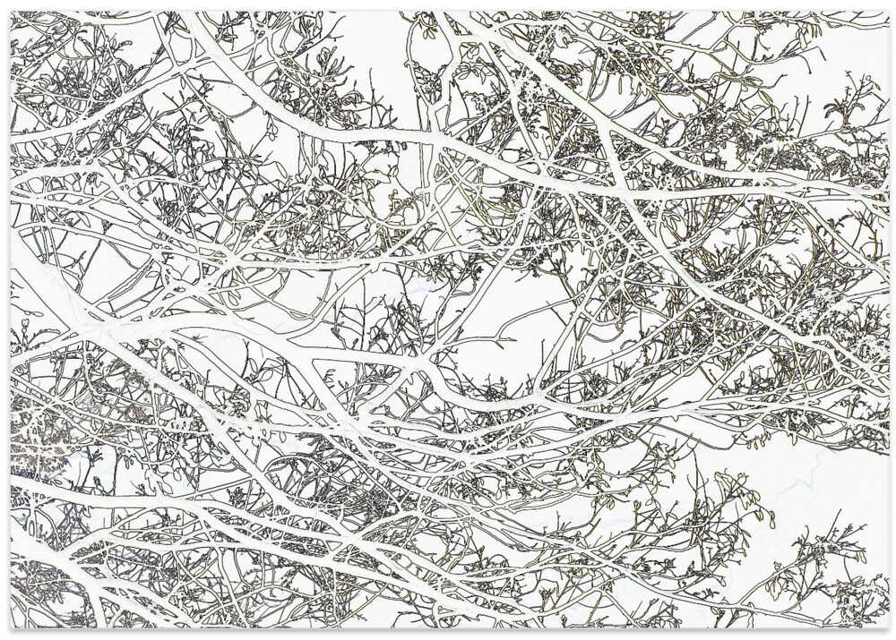 Tangled Branch Symphony