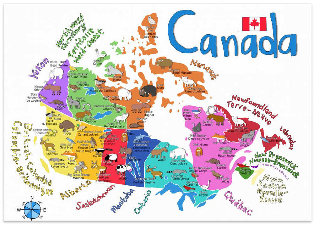 Illustrated Map of Canada with Animals by Carla Daly