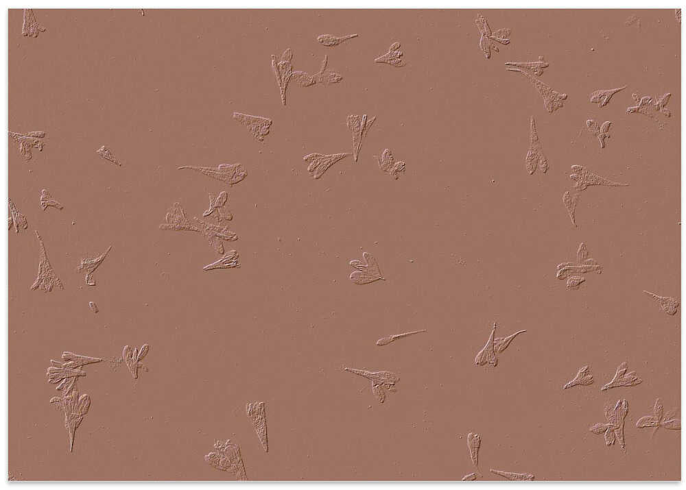 Textured Floral Traces