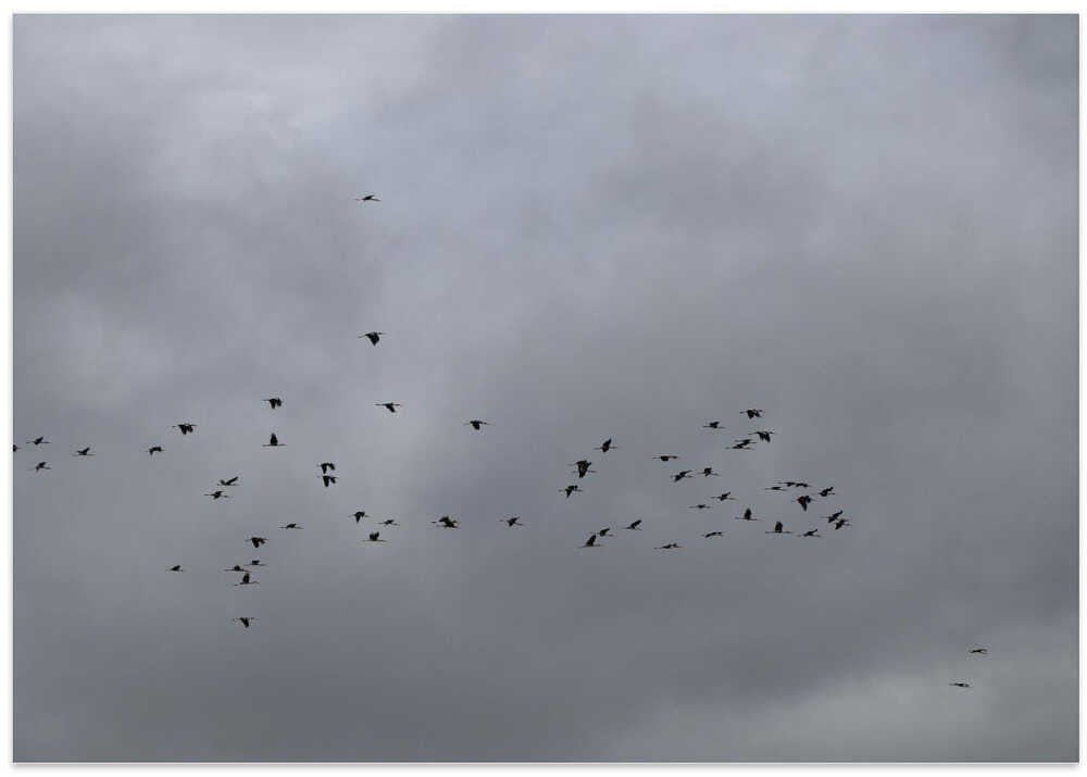 Flight Through Grey