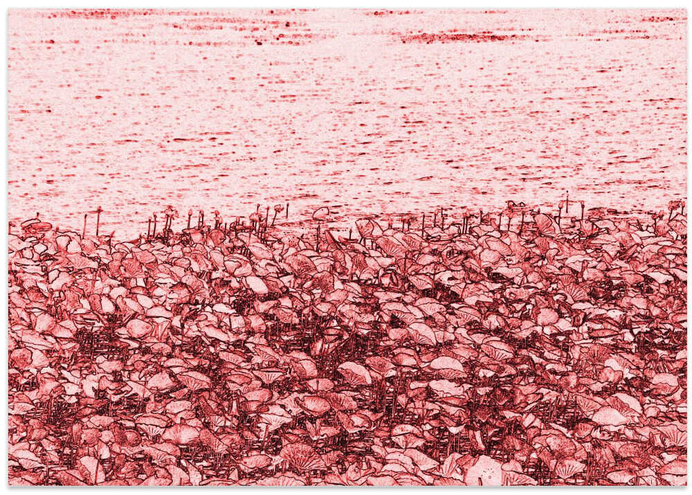 Red Shoreline Blossoms