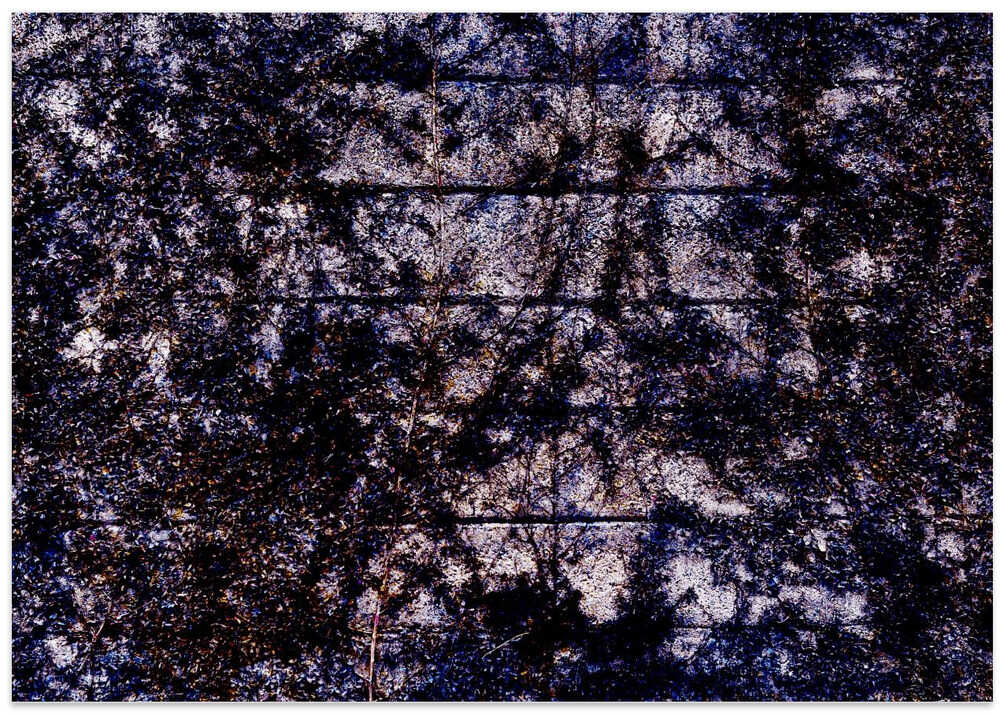 Shadowed Leaves Maze