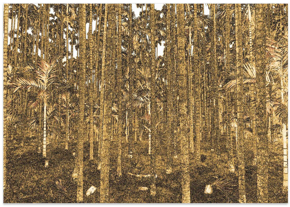 Golden Forest Glimpse