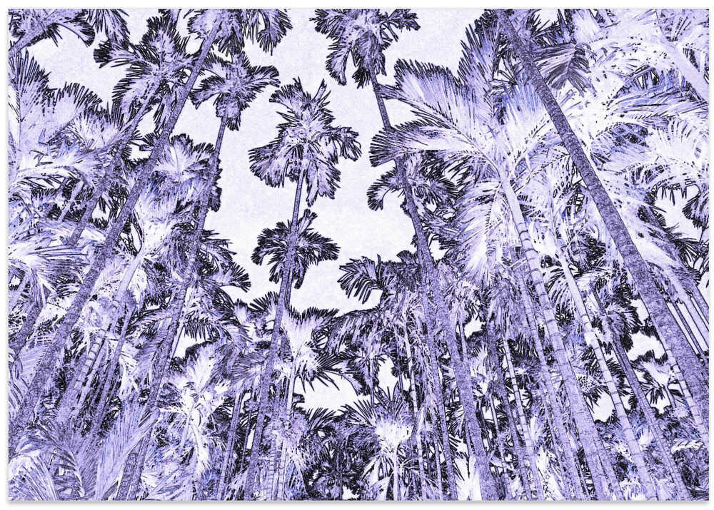 Violet Palm Canopy
