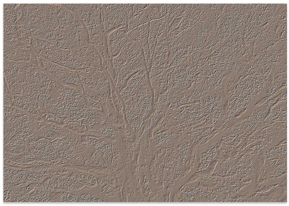 Earthy Tree Veins
