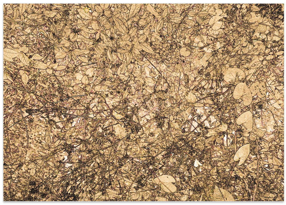 Nature's Entanglement