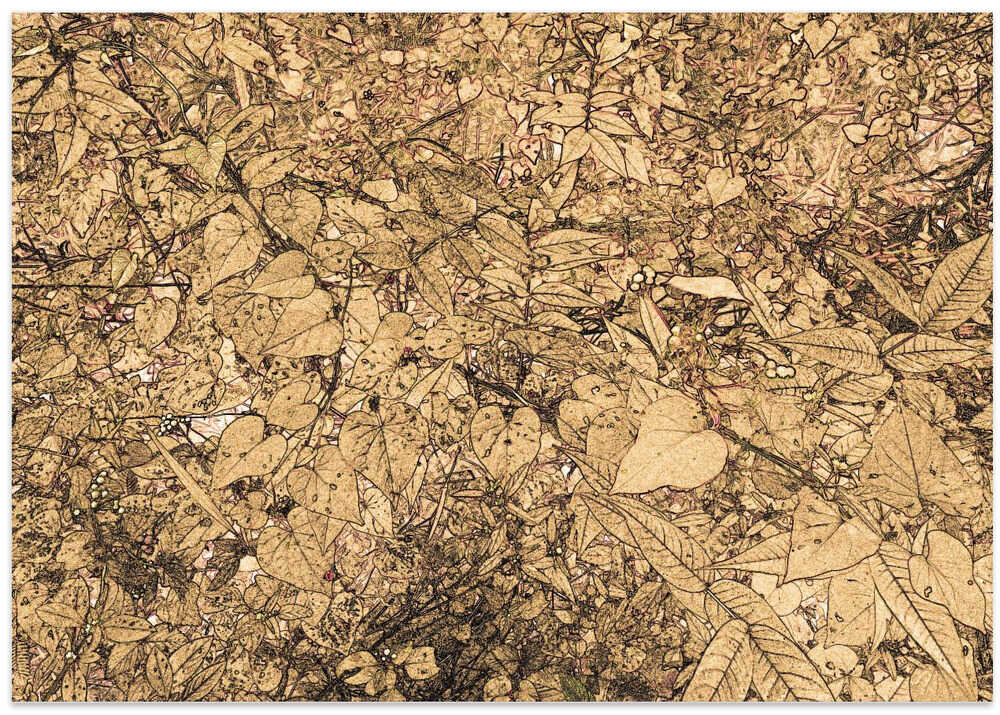 Golden Foliage Puzzle