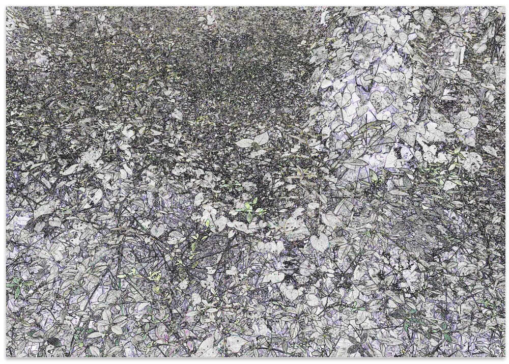 Textured Forest Floor