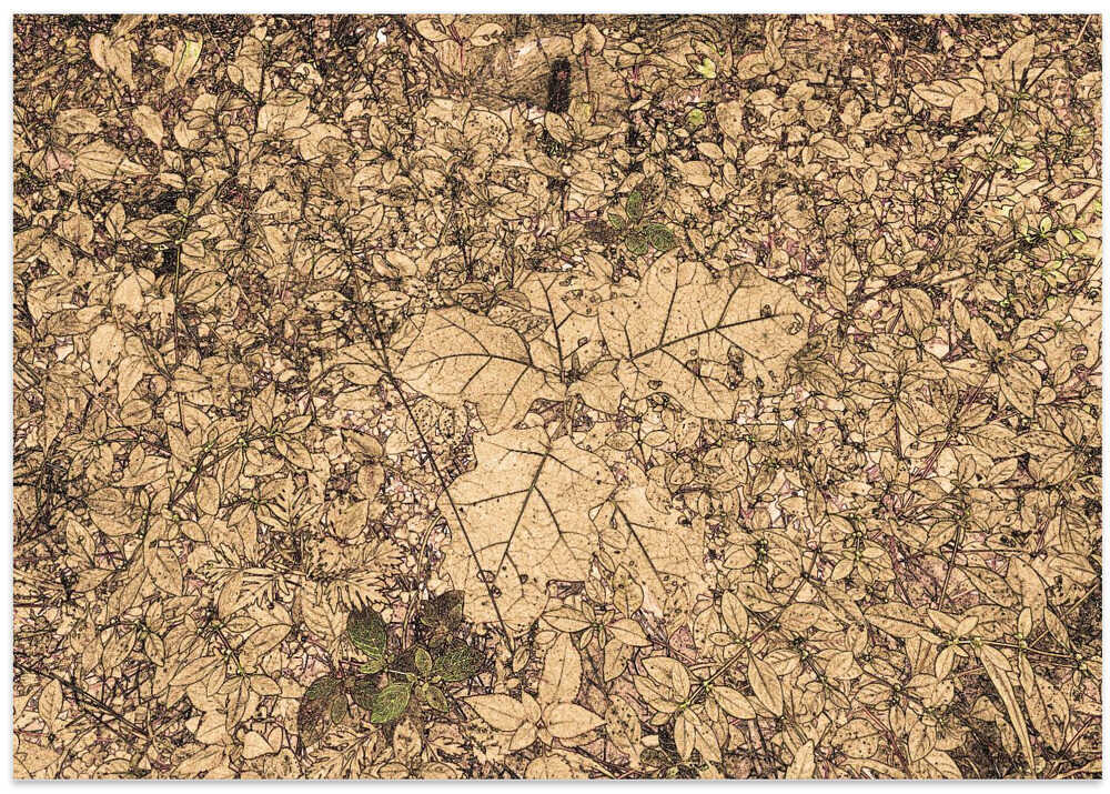 Fallen Leaves Mosaic