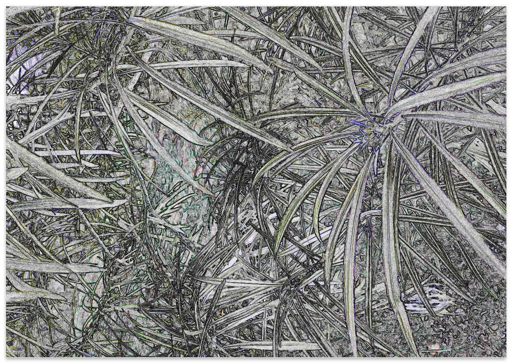 Leafy Maze Dreamscape