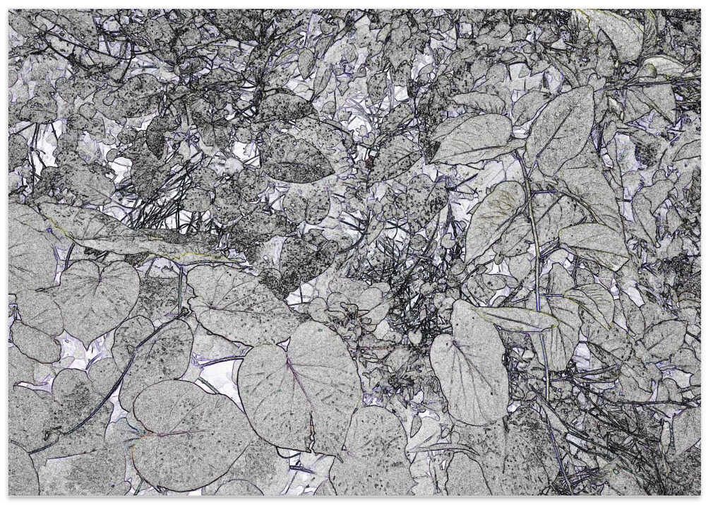 Muted Jungle Tapestry