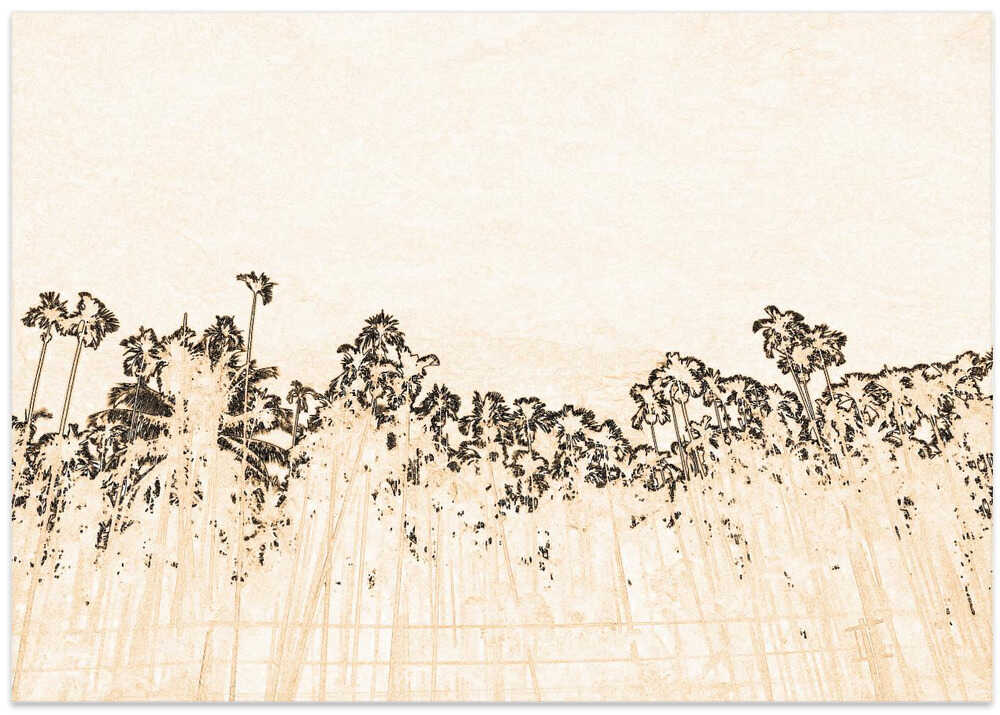 Tropical Silhouettes