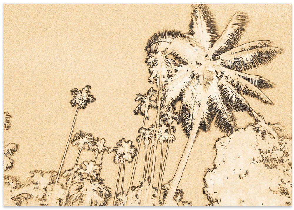 Palms in the Breeze