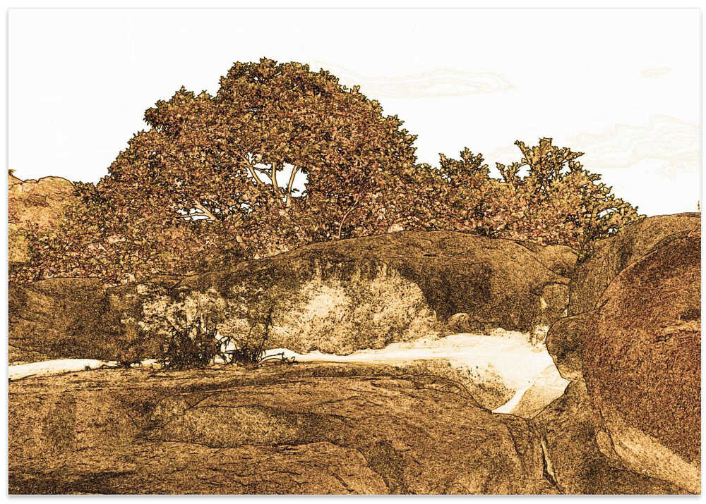 Rocky Grove Serenity