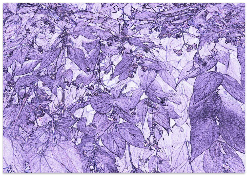 Purple Leaf Whimsy