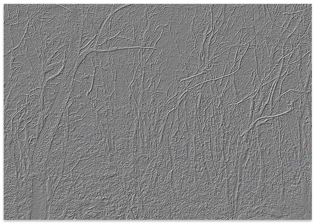 Gray Woodland Texture
