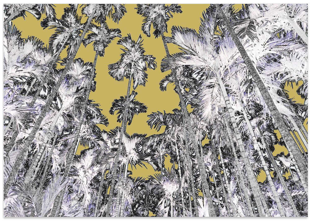 Golden Jungle Canopy