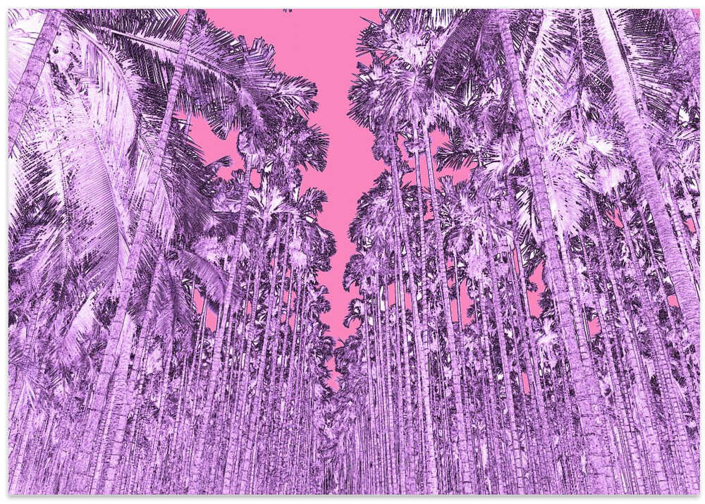 Pink Forest Dream