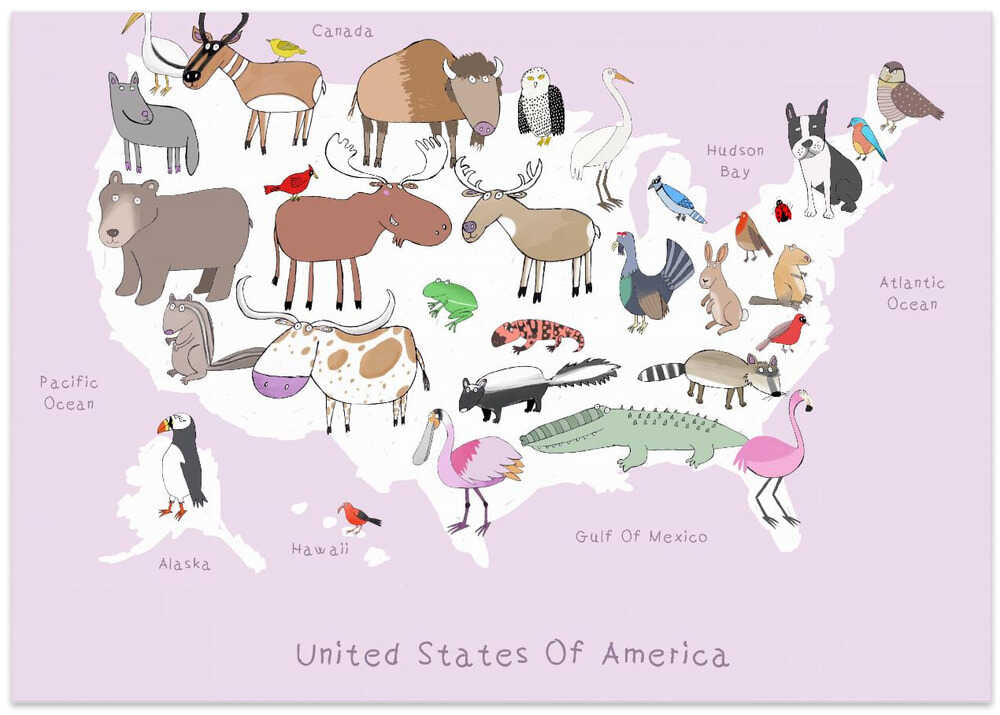 United States of Ameica Pink & White by Artist Carla Daly