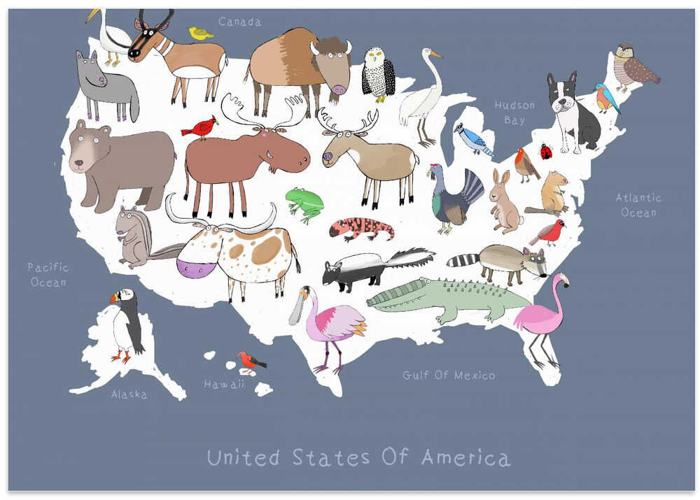 United States Of America Dark Grey & White by Artist Carla Daly