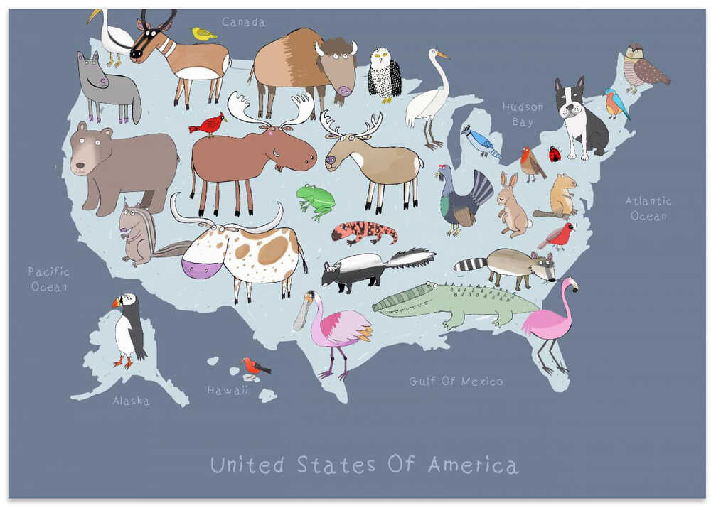 United States of America Dark Grey with Cute Animals by Artist Carla Daly