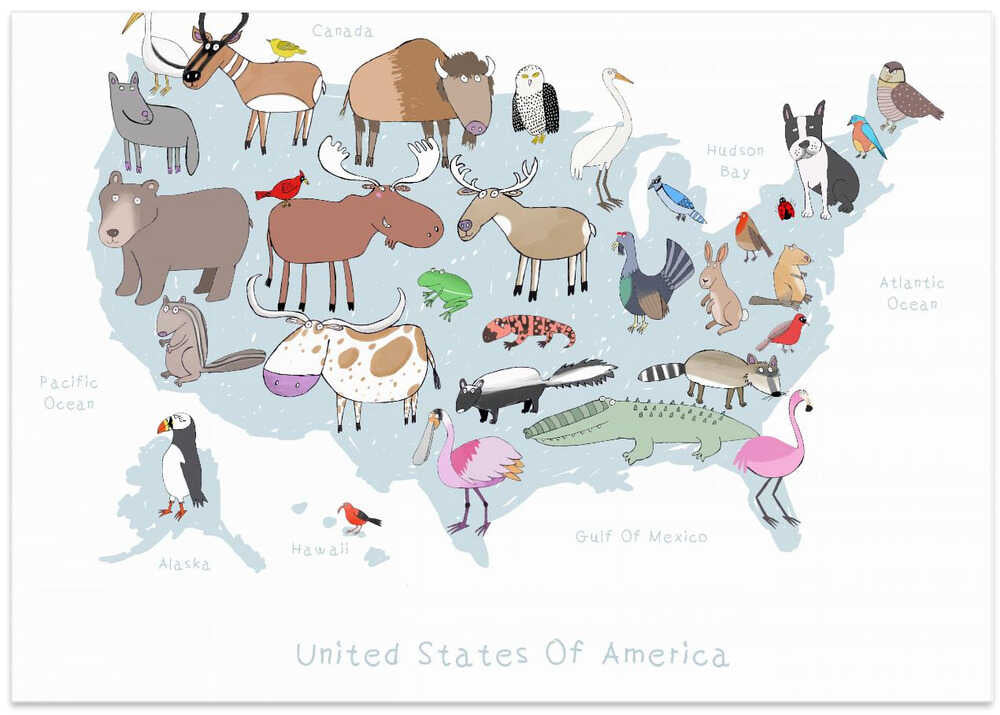 United States of America with Cute Animals by Artist Carla Daly
