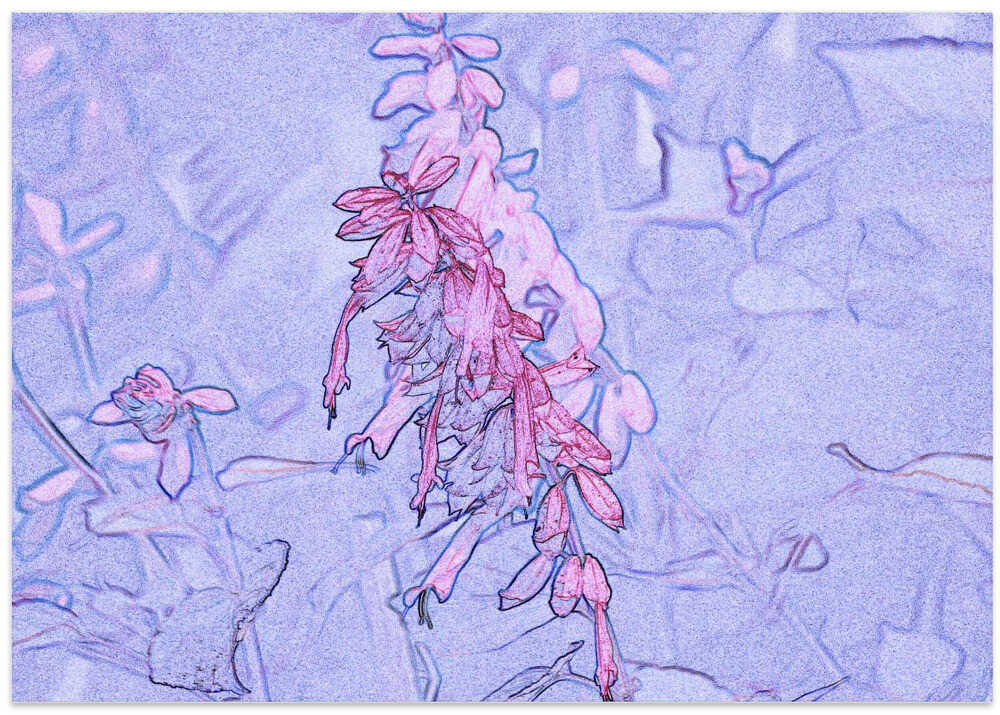 Floral Hues in Dream