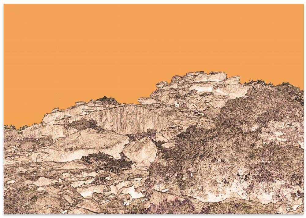 Orange Rockscape