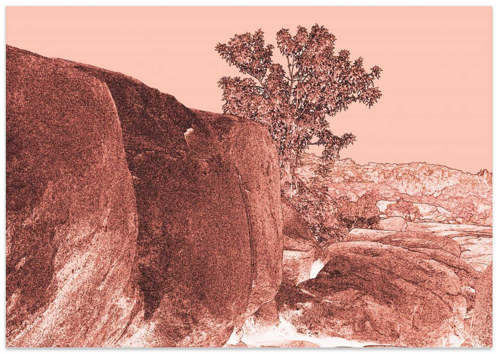 Sunlit Boulder Scene