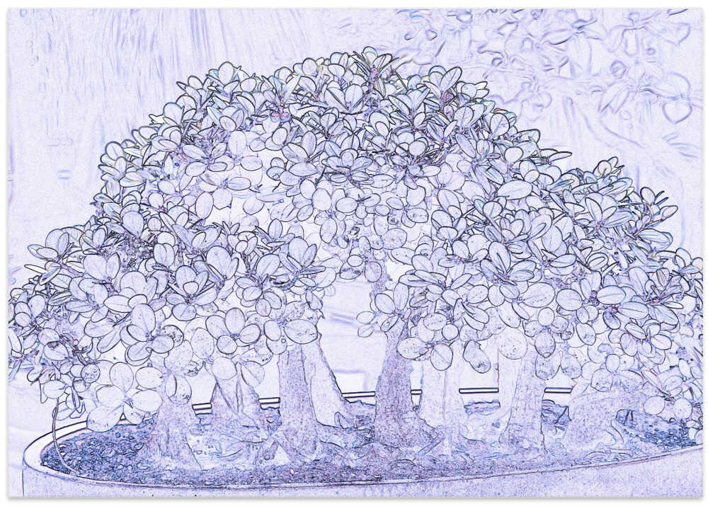 Miniature Forest Tableau