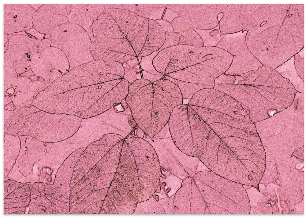 Blushing Leaves Quilt