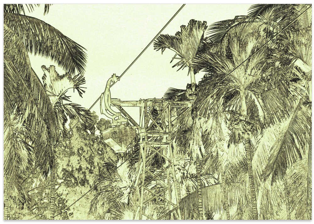 Jungle Zipline Thrill