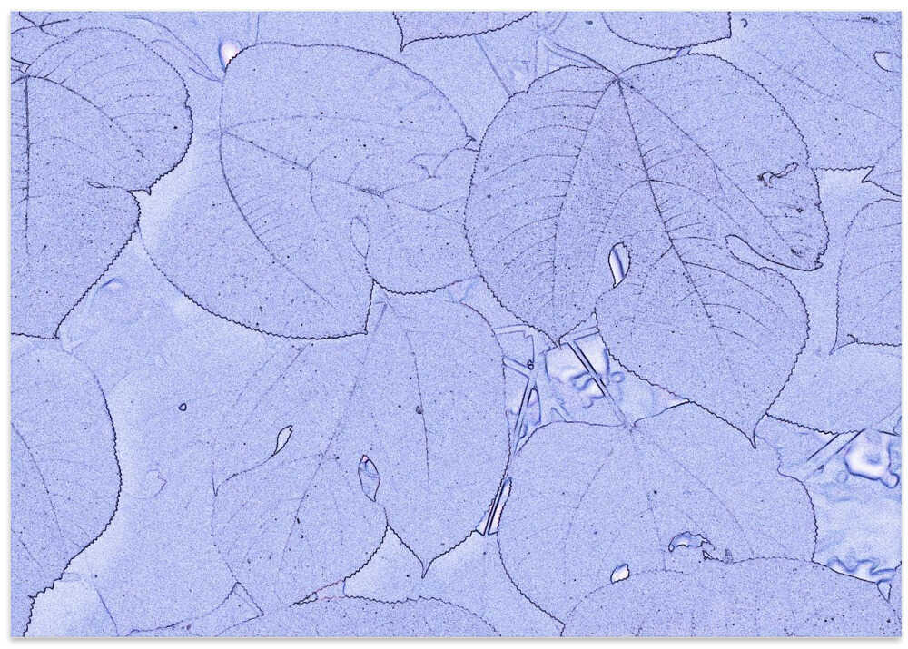 Delicate Leaf Tapestry