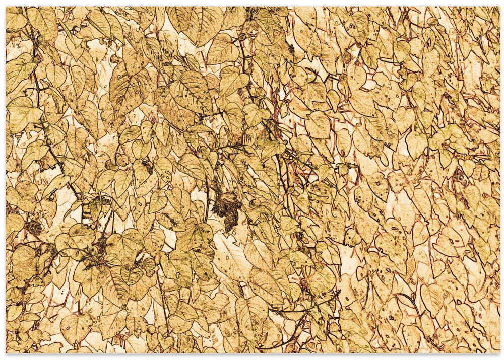 Autumn's Leaf Tapestry