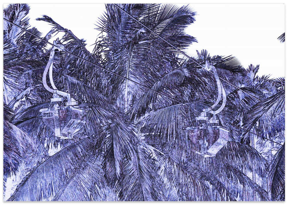 Electric Palms Fantasy