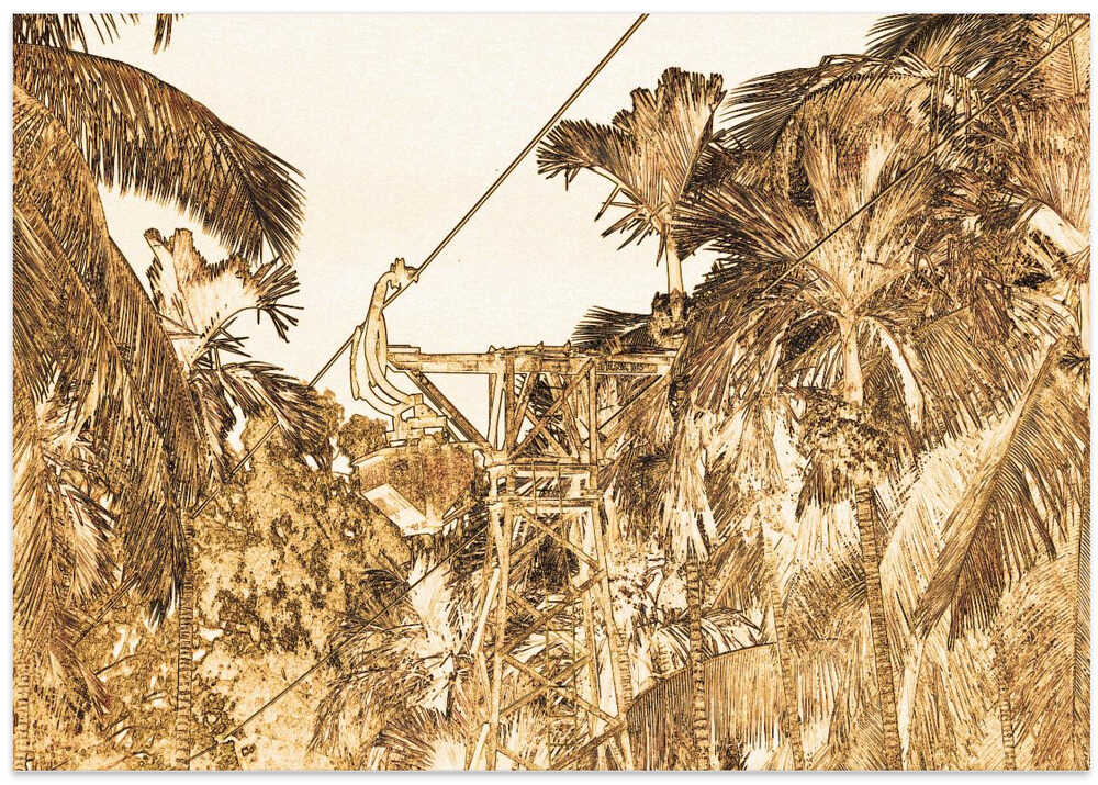 Jungle Adventure Line