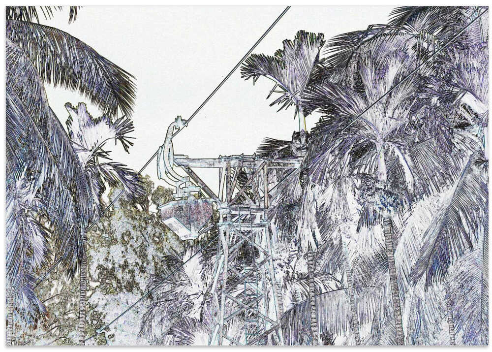 Jungle Zipline Scene