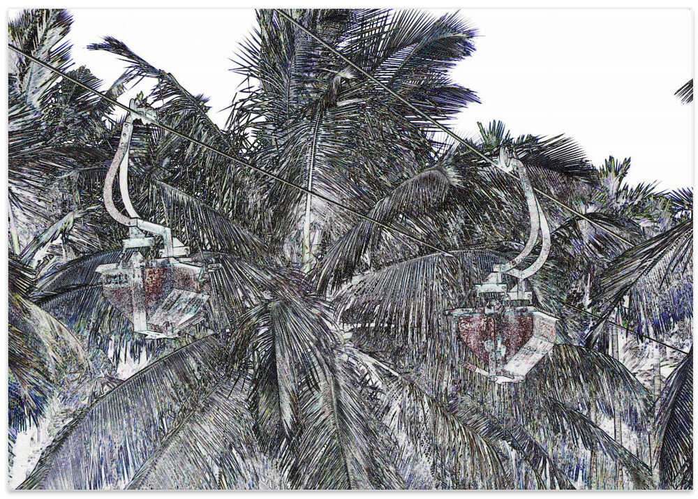 Tropical Zipline Trek