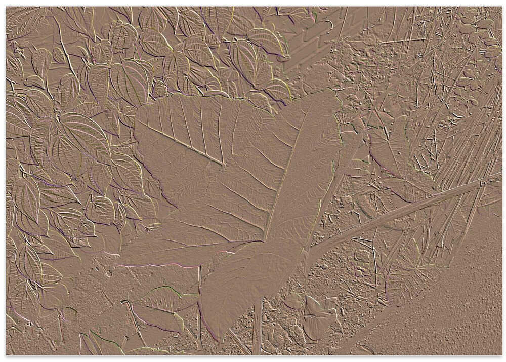 Textured Foliage Dream