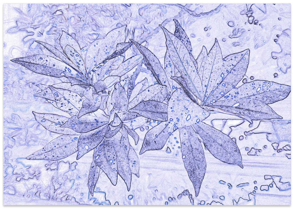 Bluish Blossom Dance