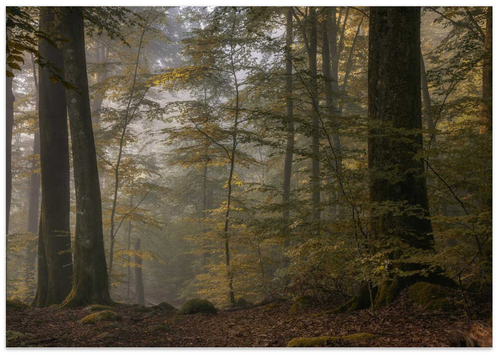 Seasonal transformation