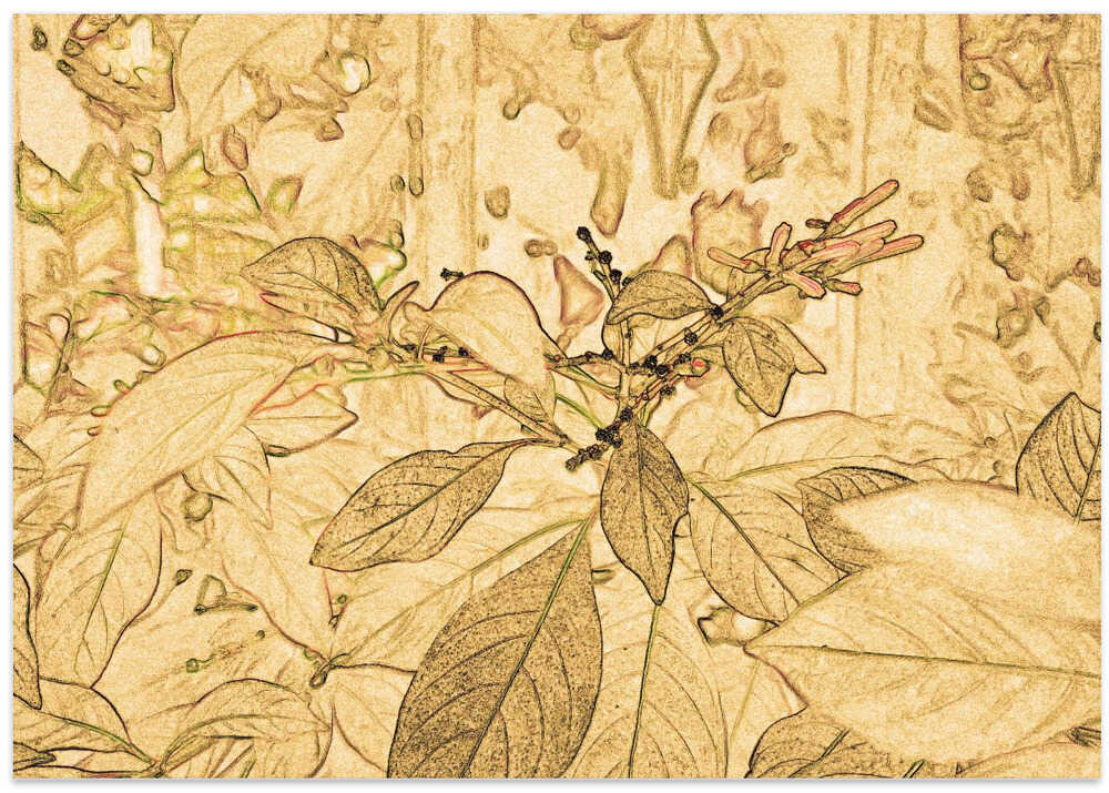 Golden Foliage Sketch