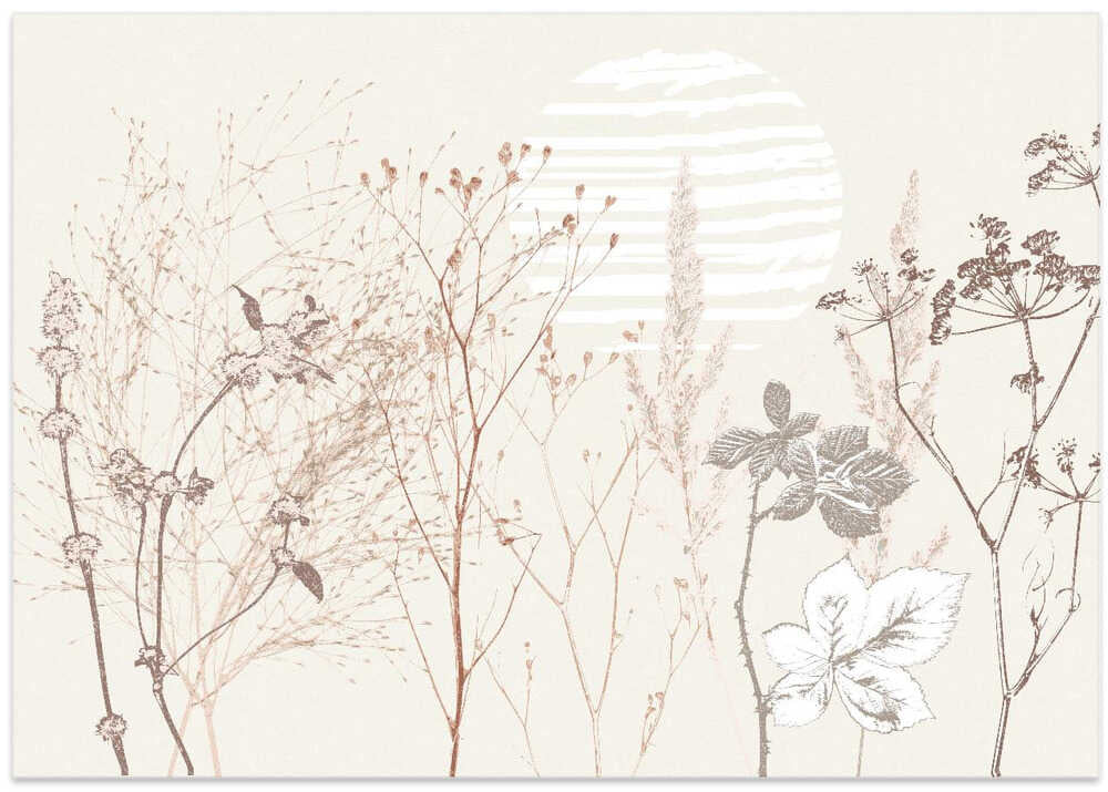 Plant based calming atmosphere earthy tones