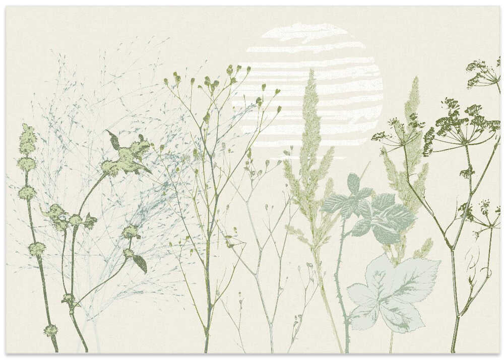 Plant based calming atmosphere natural green