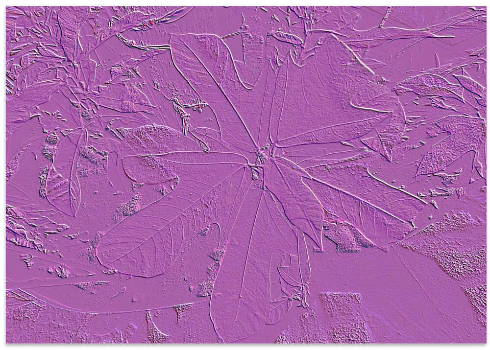 Embossed Flora Dream