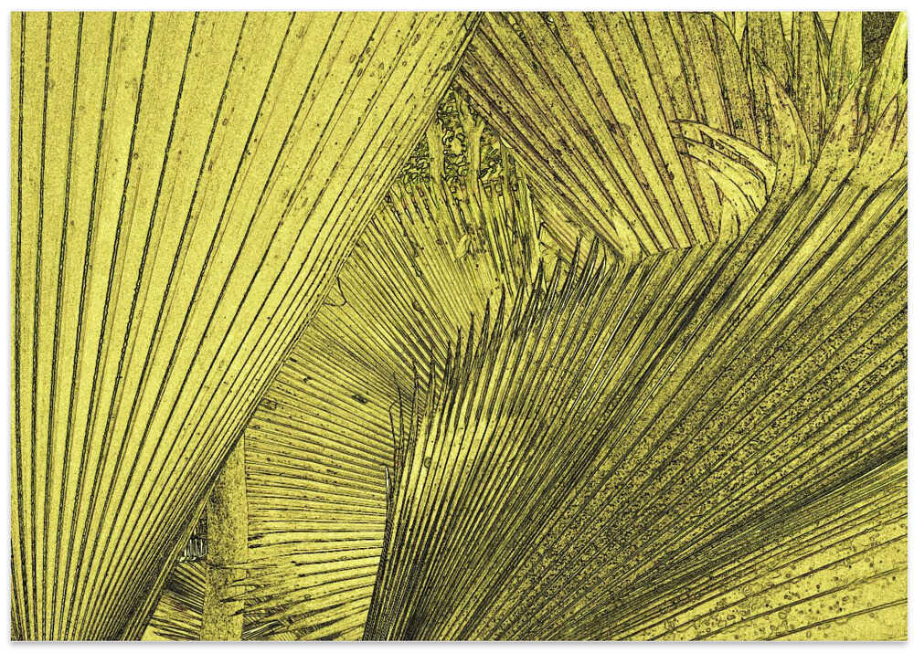 Golden Palm Whispers