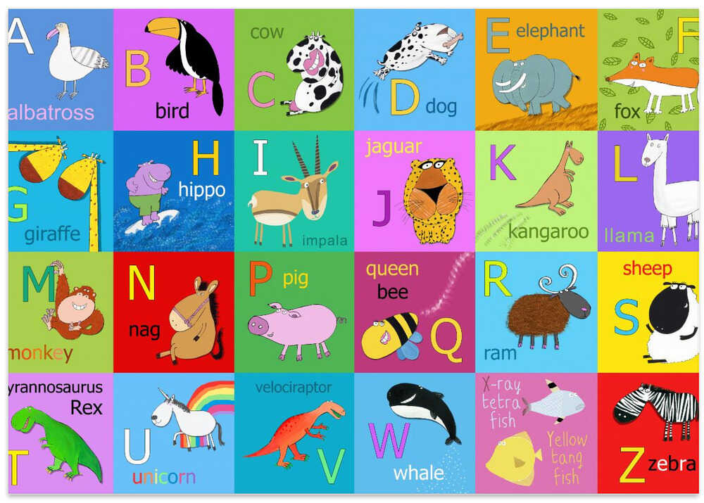 Alphabet Animal Squares by Carla Daly