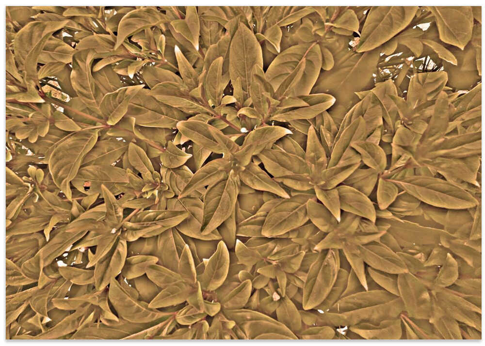 Golden Leaf Tapestry