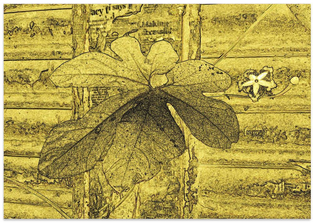 Golden Leaf Whispers